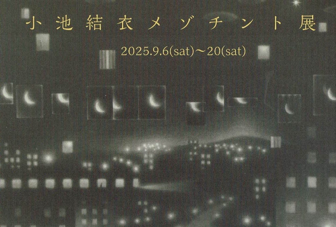 ギャラリーさんぽ2025