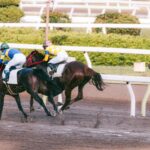 競馬イメージ写真