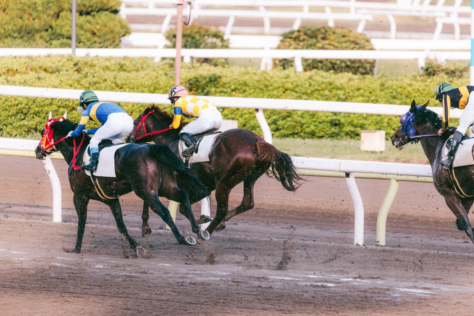 競馬イメージ写真