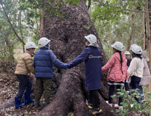 えびすの森 春休み子ども観察会