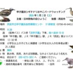 甲子園浜おやこバードウォッチング