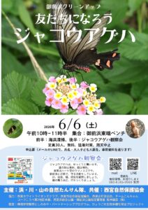 御前浜・海浜清掃＆海浜植物園除草&ジャコウアゲハ観察会