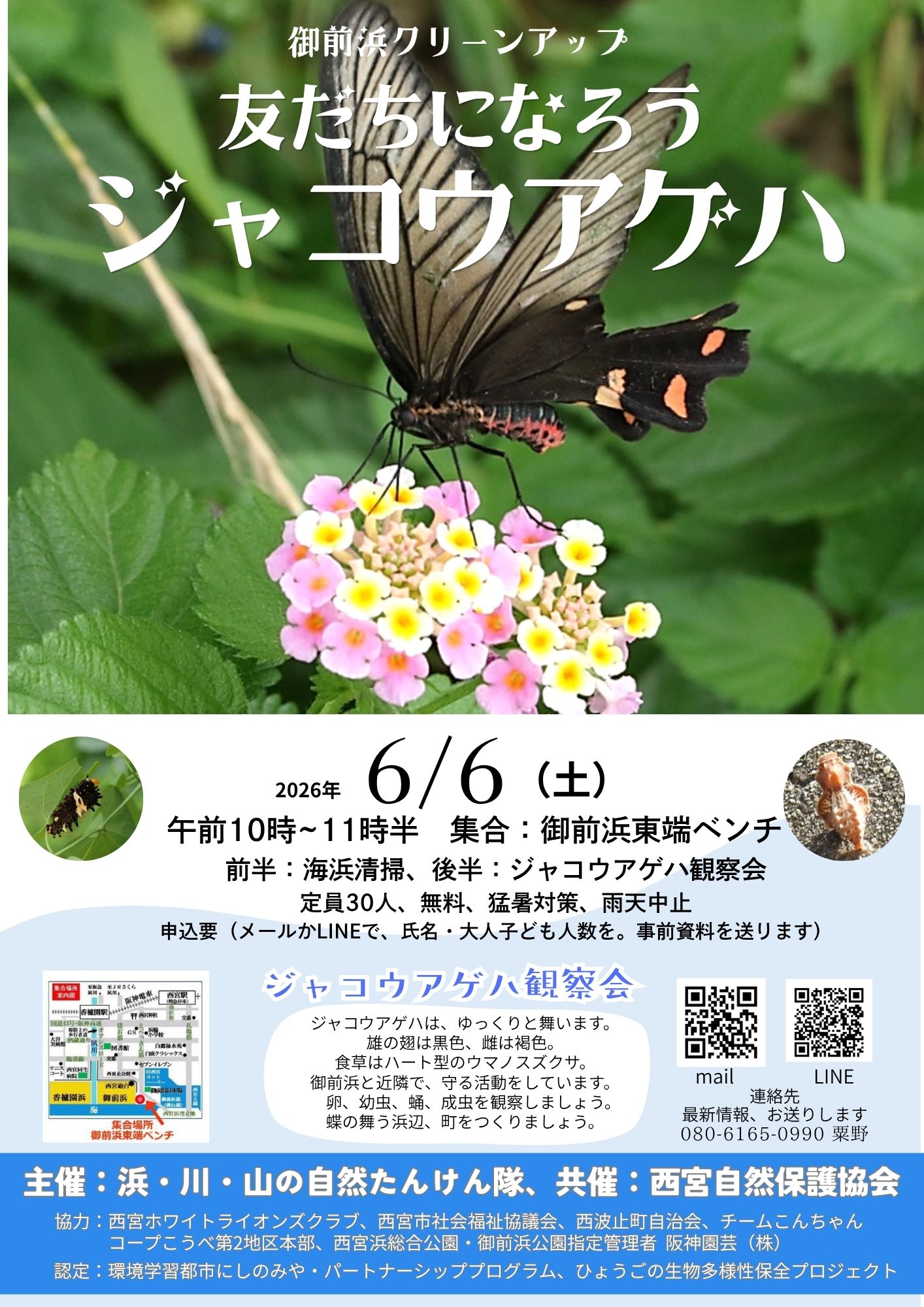御前浜・海浜清掃＆海浜植物園除草&ジャコウアゲハ観察会