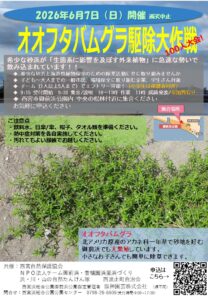 御前浜・オオフタバムグラ駆除大作戦