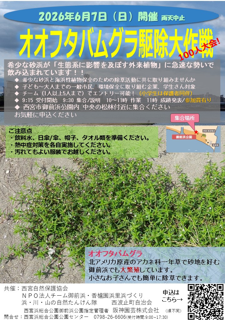 御前浜・オオフタバムグラ駆除大作戦