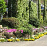西宮市北山緑化植物園