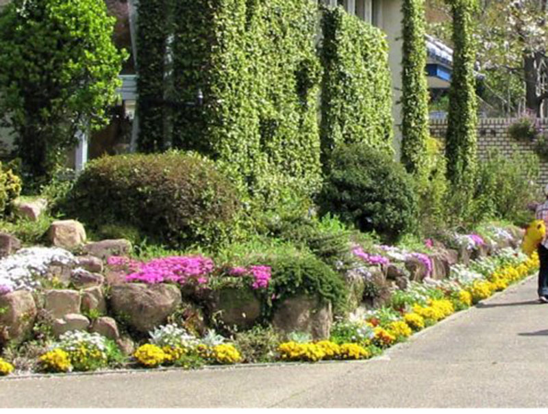 西宮市北山緑化植物園